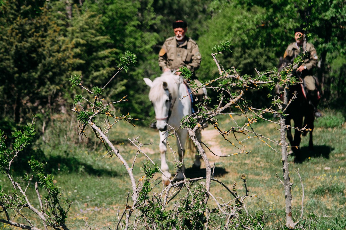 севастопольские леса под надзором МЧС и казачьих конных патрулей