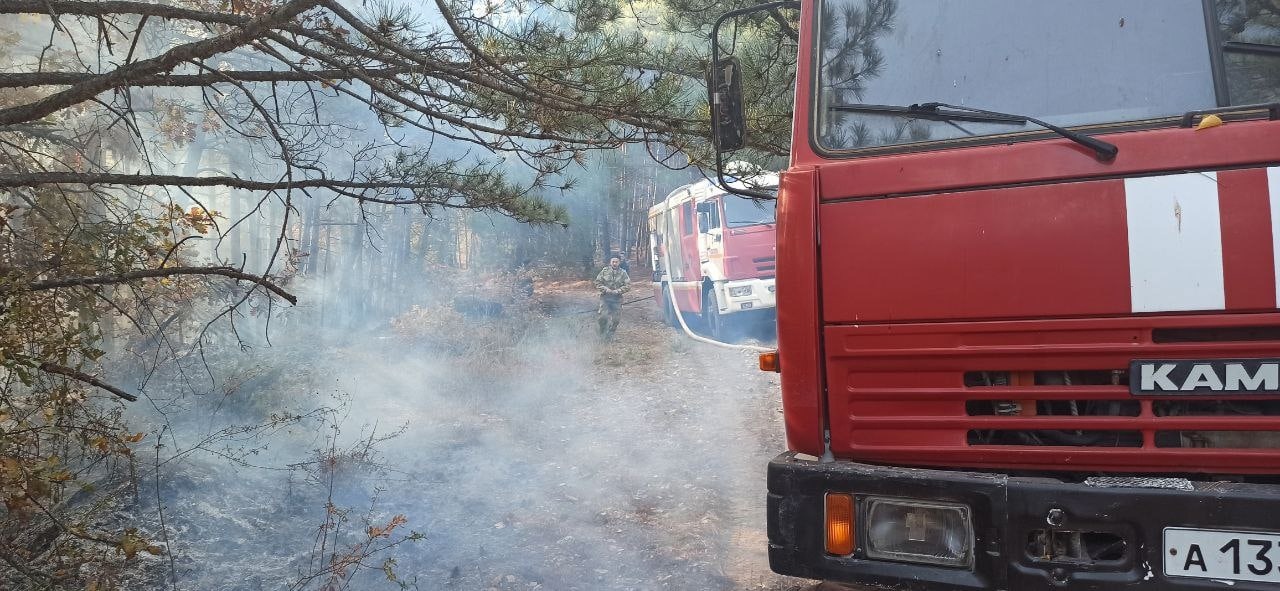 Лесной пожар тушат севастопольские казаки
